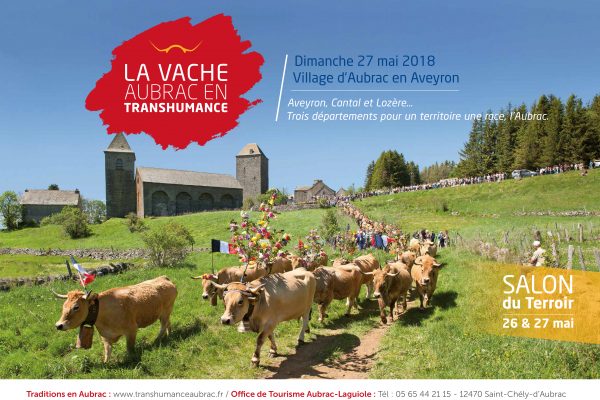 image-Vache-Aubrac-Laguiole-Transhumance-2018