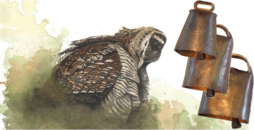Stephane ALSAC, Artiste peintre animalier  Bordeaux en Aquitaine