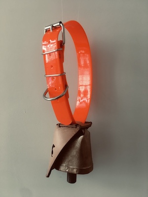 Collier-Chien-Orange-Fluo-Retroreflechissant-Large-32mm