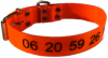 Collier Brebis et Chèvres SON-NAY FLUO38