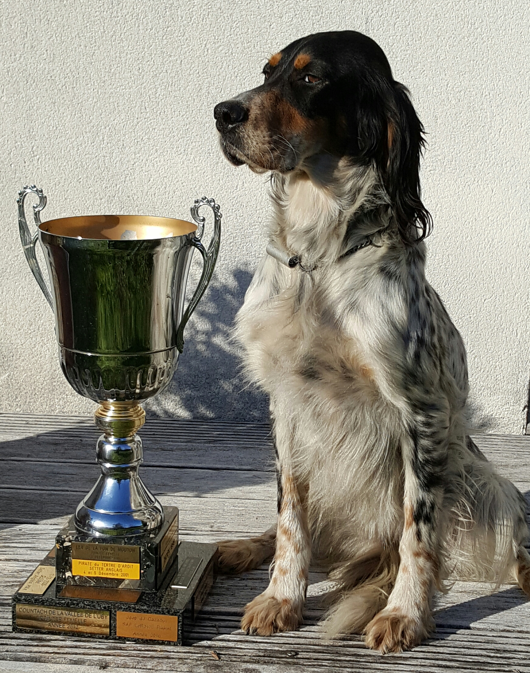 Jeep de Cazaous et le Trophée HERMES 2016